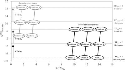 Pig management in the Neolithic Near East and East Asia clarified with isotope analyses of bulk collagen and amino acids